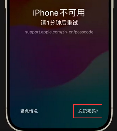 昌江苹果手机密码维修分享iPhone忘记了刚设置的密码 